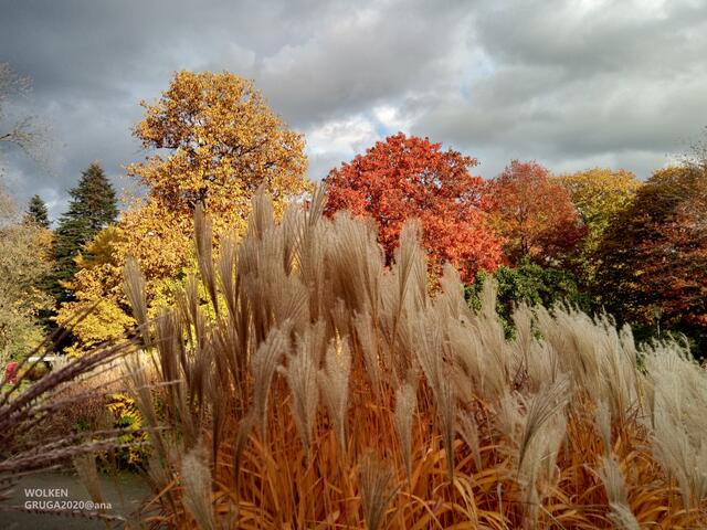 WOLKEN am Herbst-Himmel....