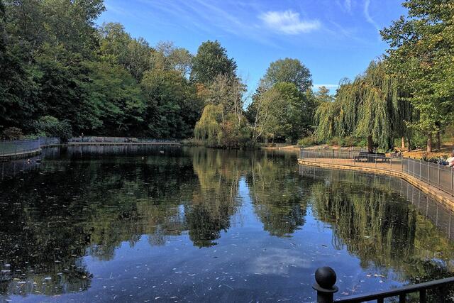 Der große Teich (Schwanenteich)