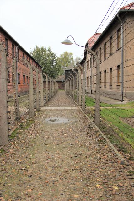 Über eine Million Menschen wurden während der Nazizeit allein in Auschwitz ermordet.
