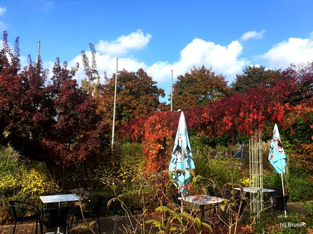 Tolle Herbststimmung!