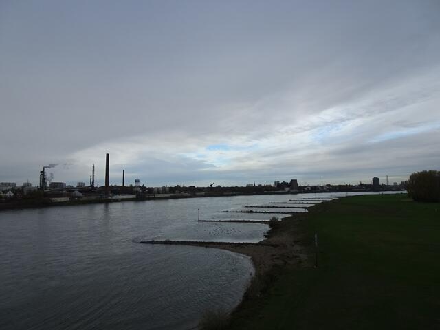 Der Rhein .