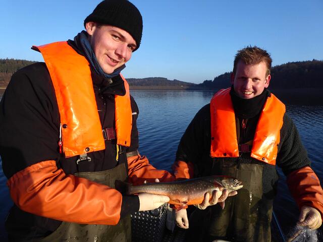 Kilian Lauff (l.) und Jan Hendrik Schneider mit einem Alpinen Seesaibling, der beim Laichfischfang an der Versetalsperre gefischt wurde.