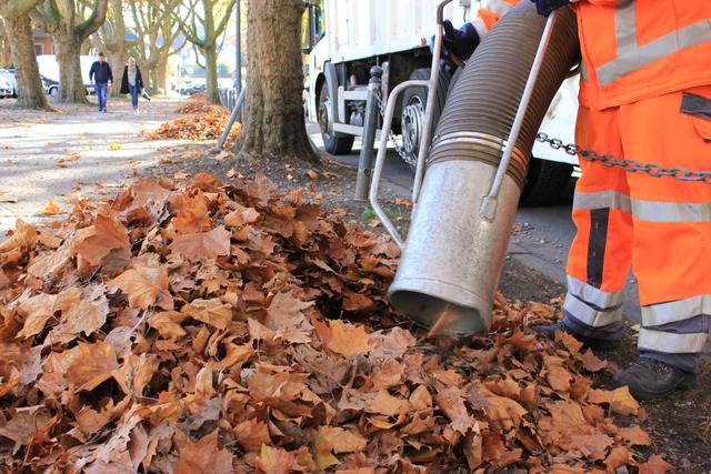 Viel Arbeit beschert das Herbstlaub gegenwärtig nicht nur Haus- und Grundstücksbesitzern. Auch der EUV Stadtbetrieb ist mit Personal und Maschinen im Einsatz.