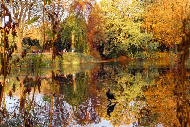 Herbstliche "Überfülle" - wir haben sie auf uns wirken lassen