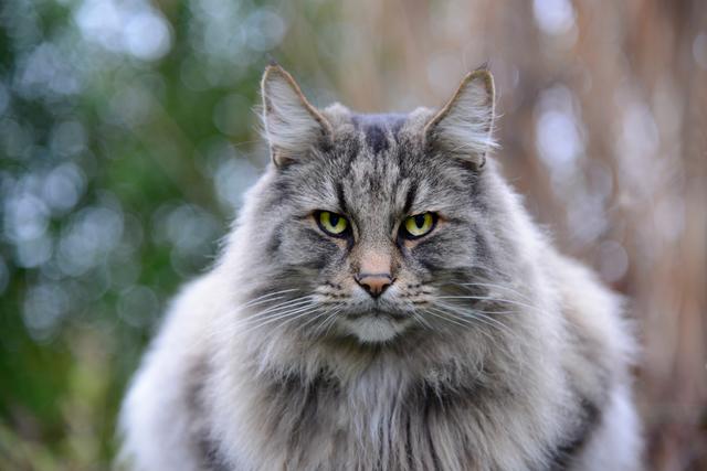 Der Blick...