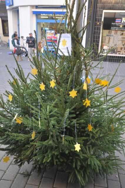 Mit selbst gebastelten Sternen und Päckchen werden die Weihnachtsbäume auf der Jägerstraße festlich geschmückt.