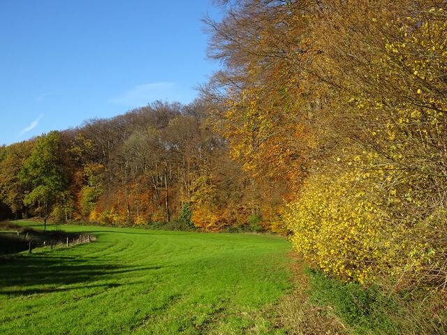 Das Laub ist überall bunt verfärbt.