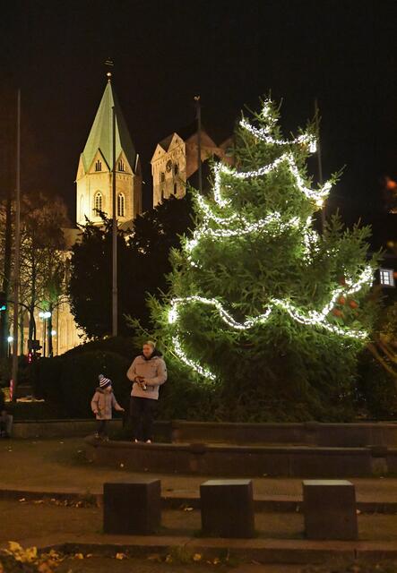Der große Werdener Weihnachtsbaum am Ludgerusbrunnen begeisterte die Besucher. 
Foto: Bangert 
