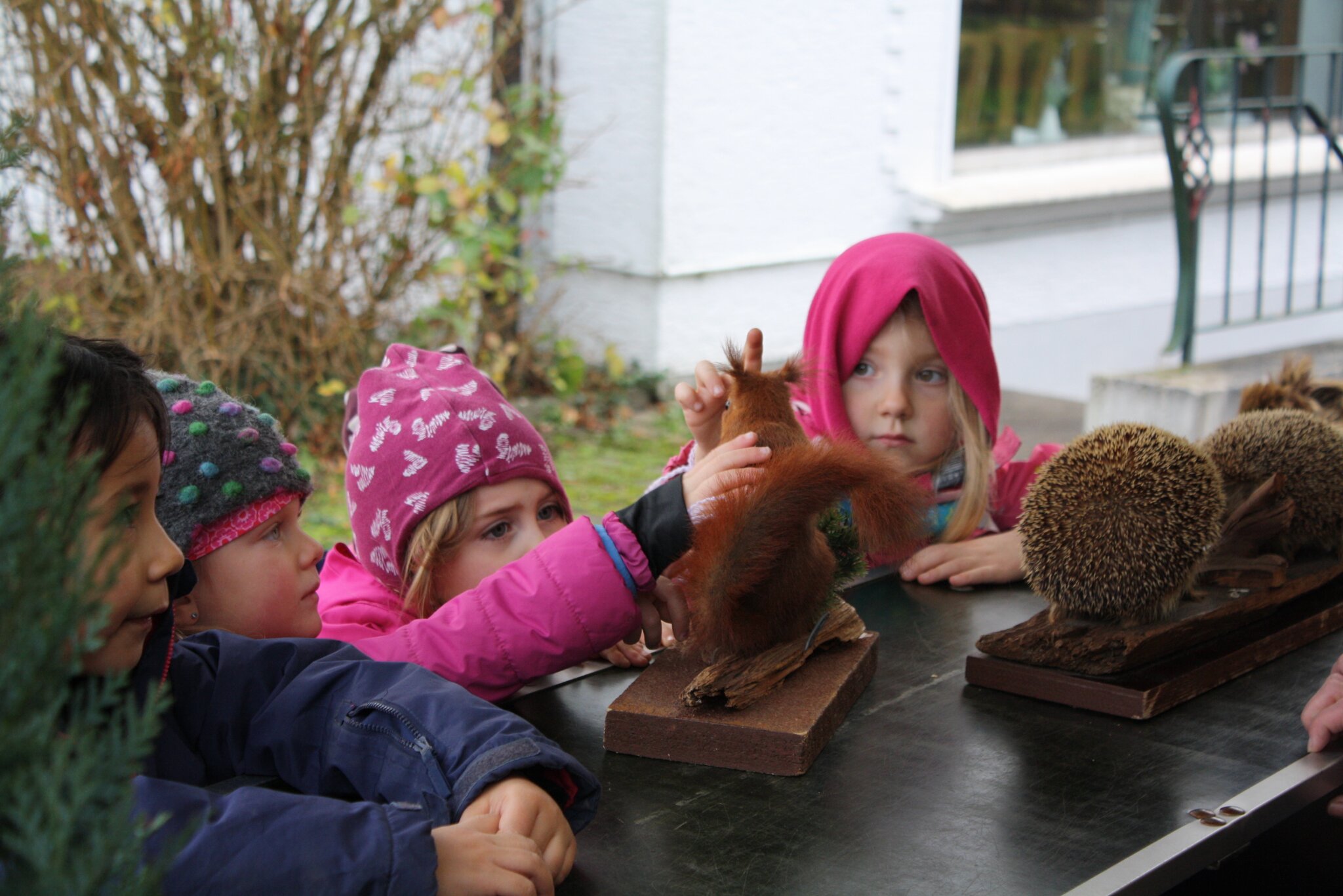 Kindergarten Schwerter Wald e.V.: Besuch von der rollenden Waldschule