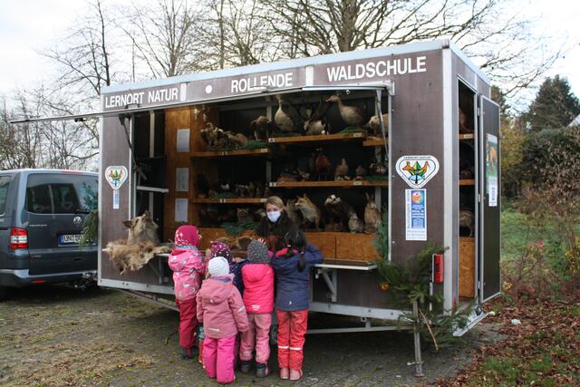 Kindergarten Schwerter Wald e.V.: Besuch von der rollenden Waldschule