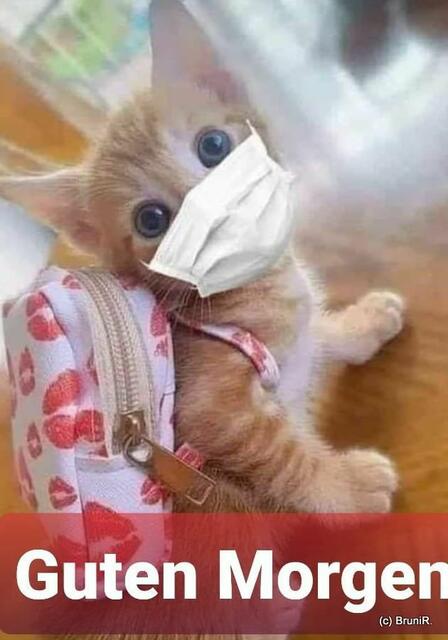 *Über whattsapp zugeschickt bekommen!
*Allerliebst!
♥