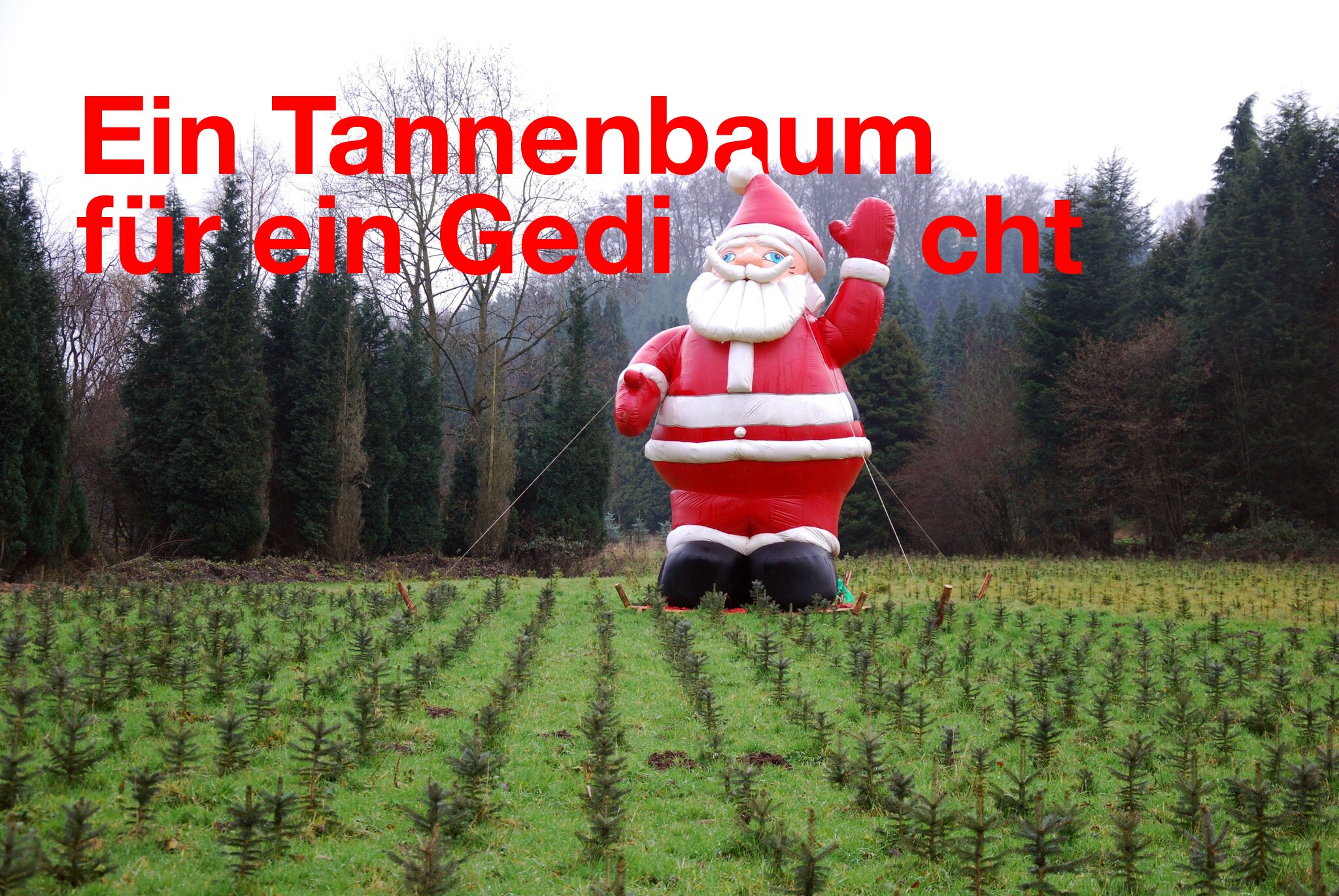 Die Sieger-Gedichte zum Nachlesen: Weihnachts-Poeten begeistern mit
