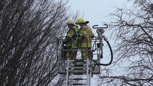 Foto: Maximilian Nettler