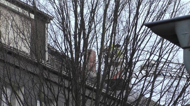 Foto: Maximilian Nettler