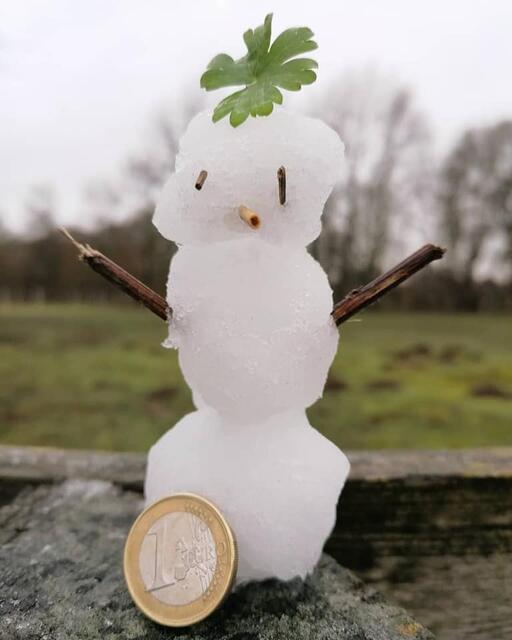 *Der erste Schnee in diesem Jahr* ⛄️😊
- Foto/ Copyright: Birgit Leimann - Münster in Bildern 📷