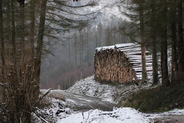 Ein bisschen Schnee.