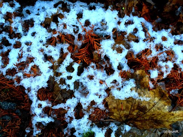 Momente... Schnee und Regen
*