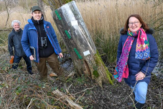 Dr. Peter Keil, Tobias Rautenberg und Gabriele Wegner (v.l.) zeigen in der Ruhraue, wie man etwa durch Baummanschetten dafür sorgen will, dem Waschbären die Raubzüge zu erschweren.
Foto: PR-Foto Köhring
