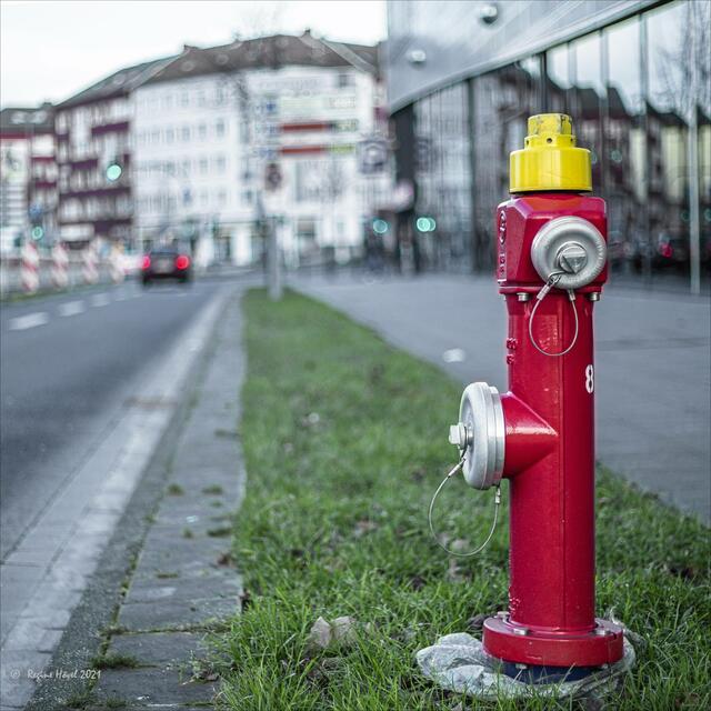Dieser Kleine wartete geduldig mit uns auf die Fotos ...