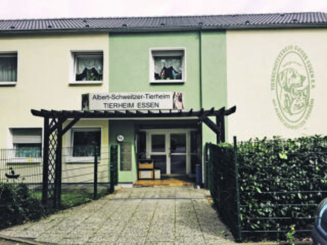 Foto: Tierheim Essen