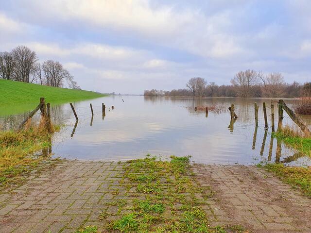 Schenkenschanz Thema