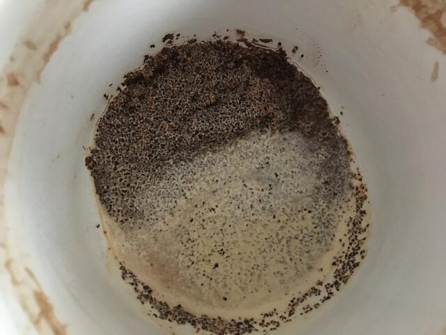 Bild 6 - Gleich wisst ihr es!?!