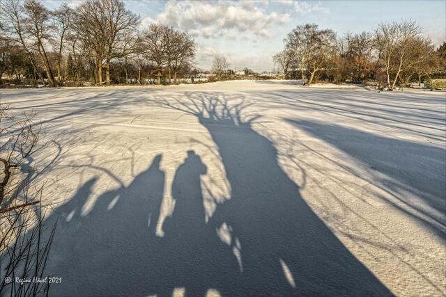 Lange Schatten auf weitem Feld