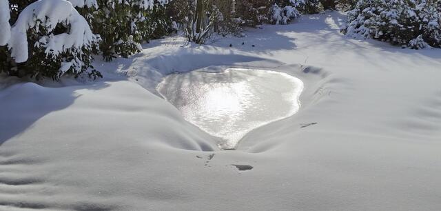 TeichLeuchten (Ausgangsfoto)