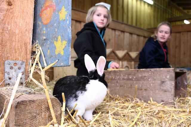 Jede Menge Abwechslung um Ostern: Die Kinder erwartet ein bunter Mix aus Bastel-, Spiel- und Sportangeboten.