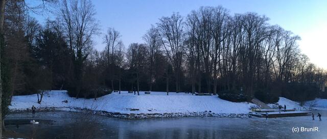 Links die Schwäne und andere Wasservögel... Rechts die Eisläufer!