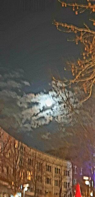 Dämmerig sieht es aus.