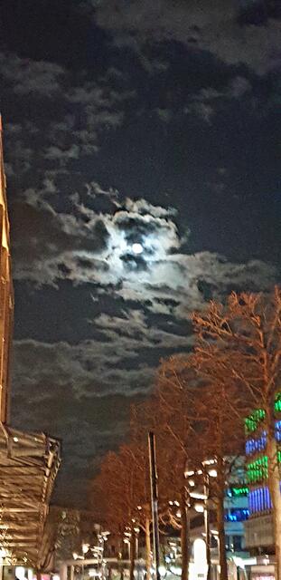 Der Himmel wirkt traurig.