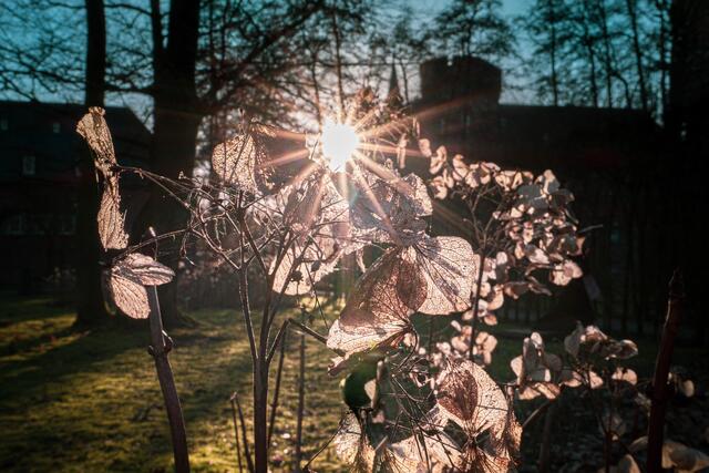 Frühlingserwachen