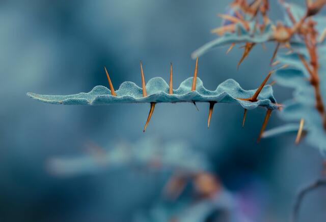 Jede Woche neu: Community-Bilder auf der FUNKE-Newswall in Essen. Mitmachen ist einfach und kostenlos. | Foto: Florian Friedmann