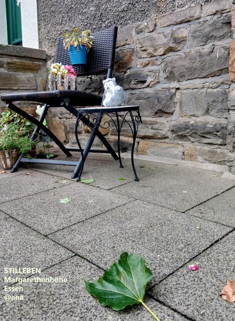 idyllisches Stilleben auf MAGGI´Höhe´  @ana2020