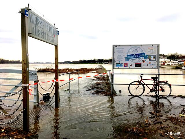 Hochwasser am Rhein - Robert-Lehr-Ufer