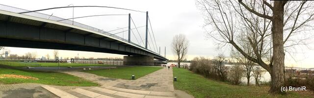 Hochwasser am Rhein - Robert-Lehr-Ufer