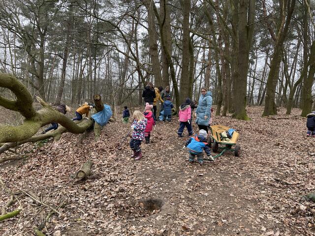 Kindergarten Emmerich: Kinder räumen den Wald auf - Emmerich am Rhein