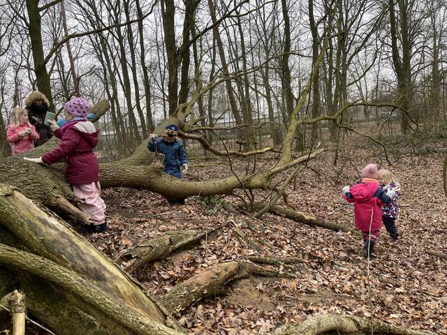 Kindergarten Emmerich: Kinder räumen den Wald auf - Emmerich am Rhein