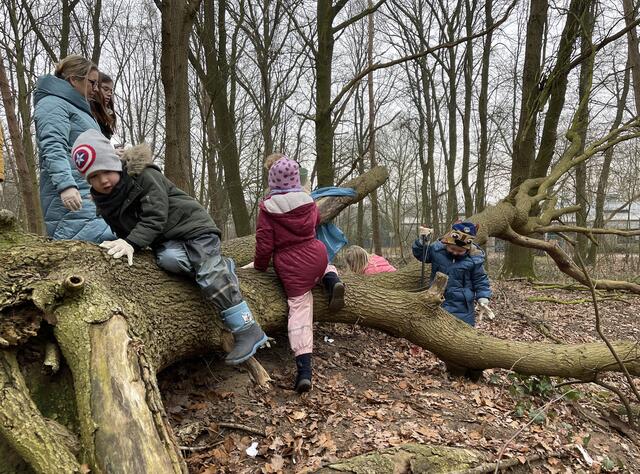 Kindergarten Emmerich: Kinder räumen den Wald auf - Emmerich am Rhein