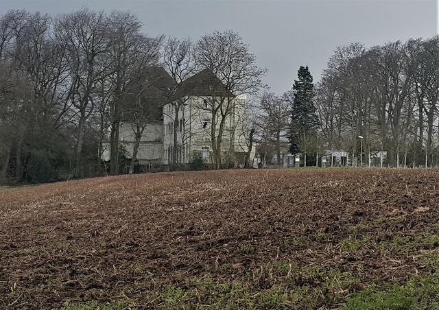 Zwischen Wäldern, Äckern und Pferdekoppeln liegt die frühere LVR-Klinik.
Foto: Henschke