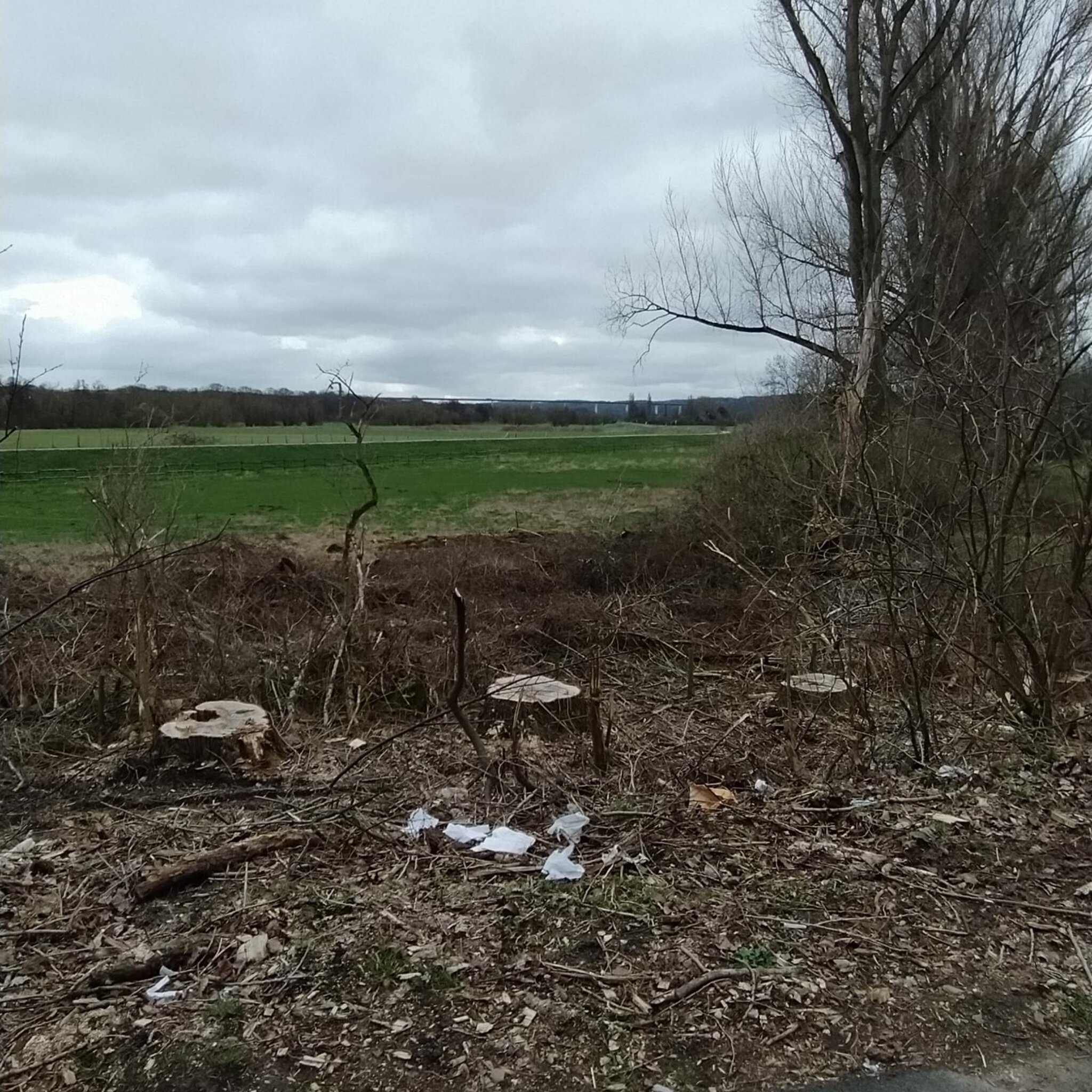 Politik, Natur & Garten VERELENDUNG EINER STADT Mülheim an der Ruhr