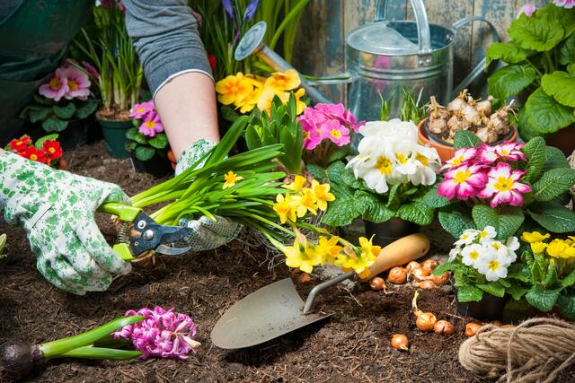 Tetanus – die Gefahr die im Garten lauert. Die Tetanus-Impfung bzw. die Auffrischung alle zehn Jahre sind ein absolutes Muss für jeden Hobbygärtner im Märkischen Kreis. Foto: AOK/hfr.