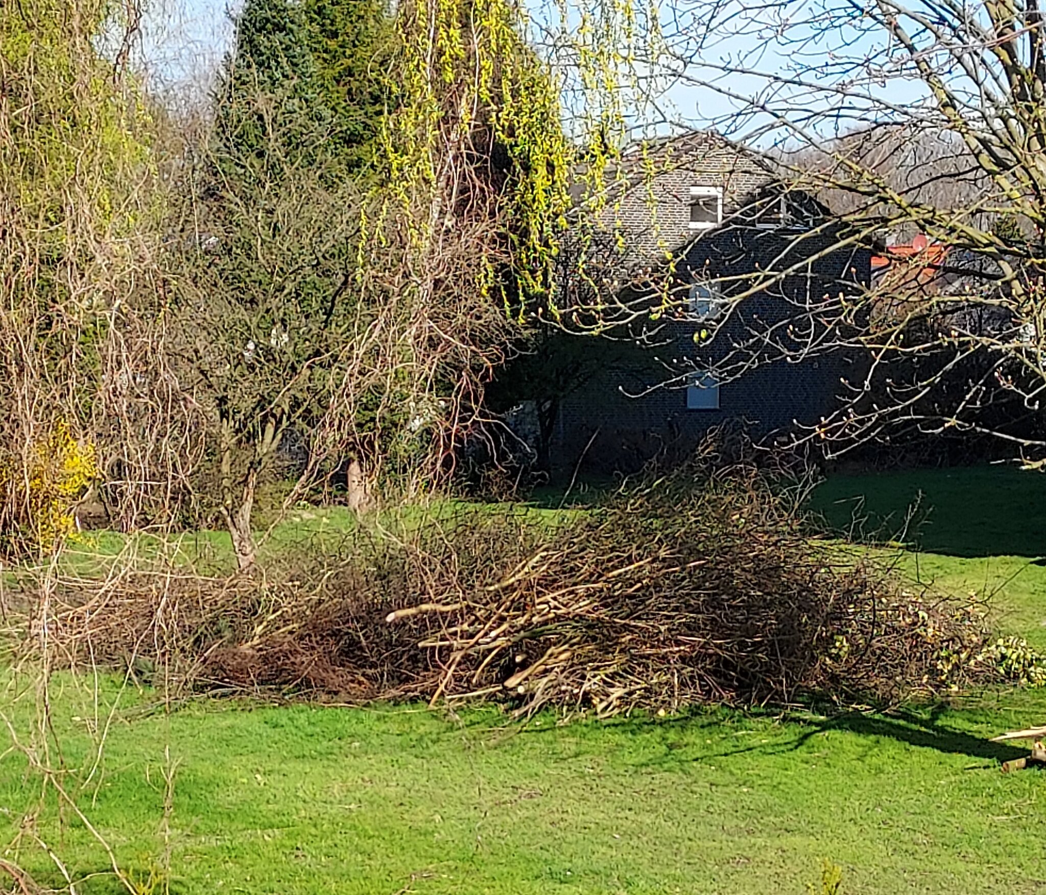 Bürgerreport Der Apfel fällt nicht weit vom Stamm So viele faule Äpfel. Gewogen und geprüft