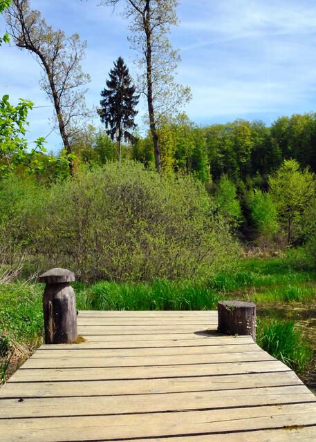 Müllerthal-Trail