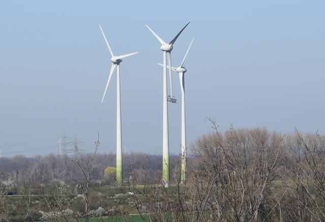 die Windräder an der Mengeder Straße von der Halde Groppenbruch gesehen