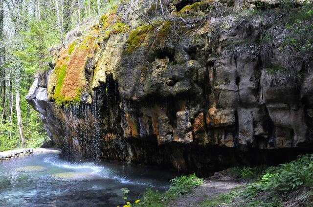 Kallektuffquelle im Tal der Schwarzen Ernz
