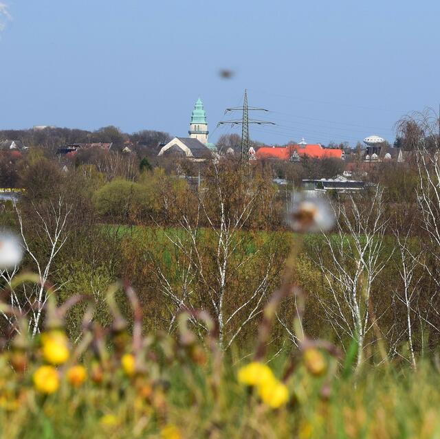 Blick auf Brambauer mit Huflattich