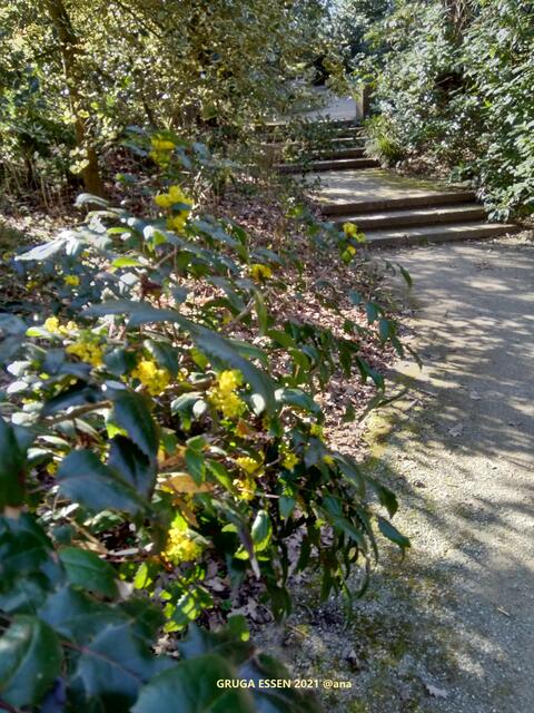 ...und, auch noch mal´was´ANDERES aus der GRUGA Essen :-) @ana