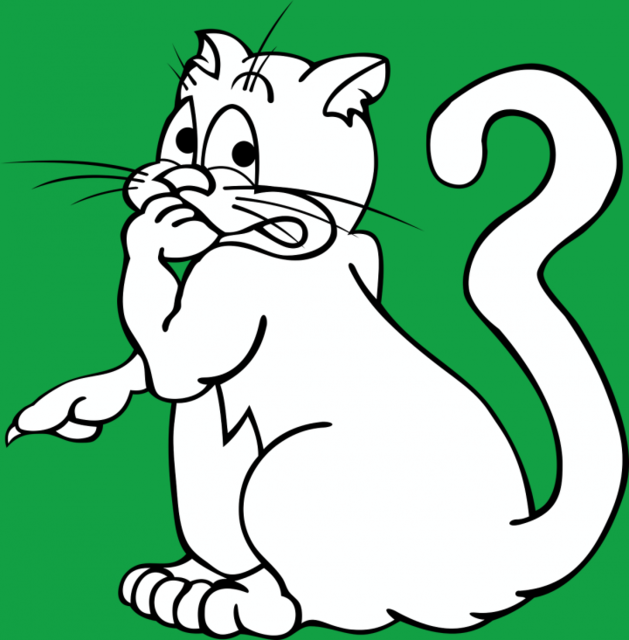 451: Kater, nicht kastriert, Europäisch Kurzhaar, Fellfarbe  Schwarz-Weiß; gefunden am 8. April Geilinghausweg in Heidhausen. Der Kater hatte absolut keine Lust, für die Kamera zu posieren.